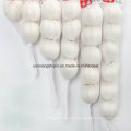 China New Crop Fresh Garlic Small Bag Packing Wholesale